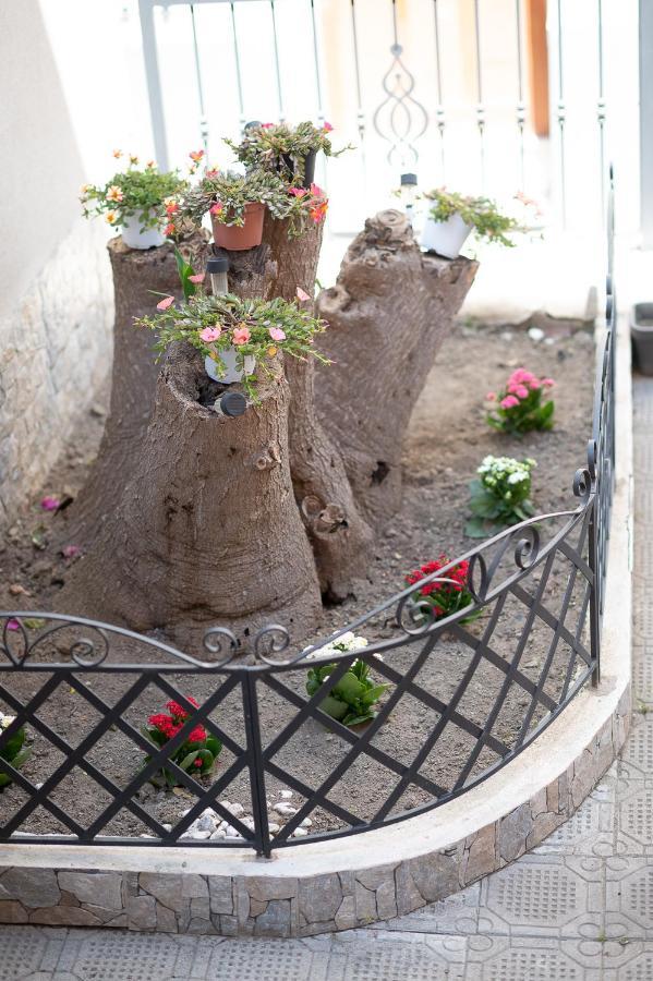 La Magnolia Rooms Procida Ngoại thất bức ảnh